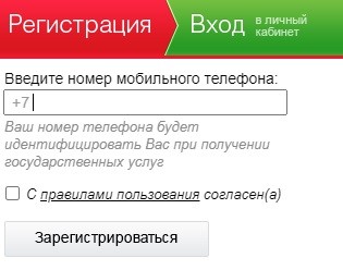 Личный кабинет Госуслуги РТ: инструкция по регистрации, функции аккаунта