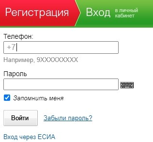 Личный кабинет Госуслуги РТ: инструкция по регистрации, функции аккаунта