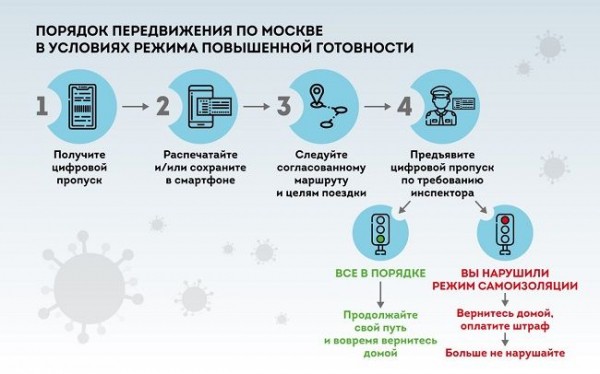 Как оформить электронный пропуск на передвижение во время карантина в Москве