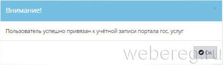 Регистрация в онлайн системе &laquo;Сетевой город&raquo;