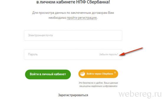 Регистрация личного кабинета на www.npfsb.ru