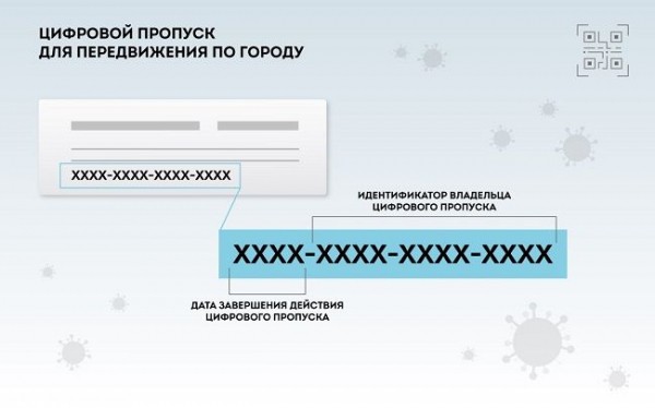 Как оформить электронный пропуск на передвижение во время карантина в Москве