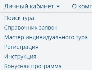 Личный кабинет Пегас Туристик: вход в профиль, функции аккаунта Личный кабинет Пегас Туристик: вход в профиль, функции аккаунта