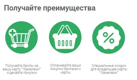Личный кабинет &laquo;Белмаркет&raquo;: авторизация в аккаунте, преимущества профиля