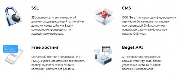 Вход в личный кабинет Бегет хостинг: пошаговый алгоритм, функционал сайта
