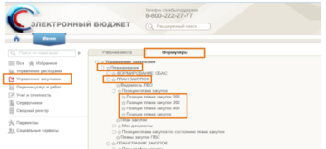 Как войти в личный кабинет электронного бюджета по сертификату