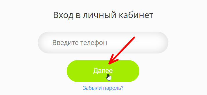 Вход в личный кабинет Сибирские сети, проверка баланса и оплата услуг
