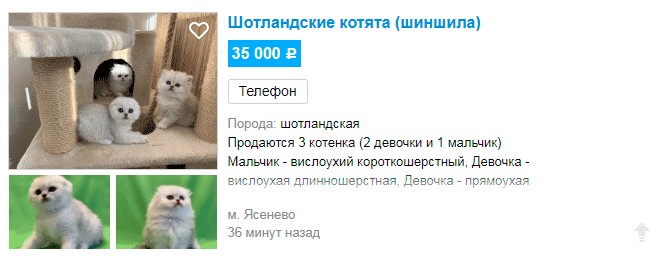 Как войти в личный кабинет Авито и подать объявление бесплатно