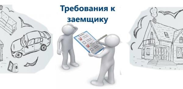 Целевой займ: главные преимущества, требования к заемщику Целевой займ: главные преимущества, требования к заемщику