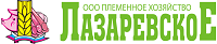 ПХ Лазаревское