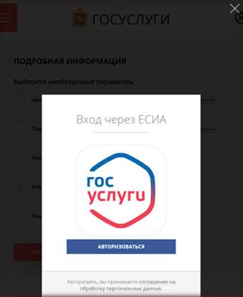 Как можно войти в личный кабинет портала РПГУ &ndash; пошаговая инструкция