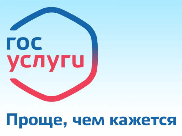 Как можно войти в личный кабинет портала РПГУ &ndash; пошаговая инструкция