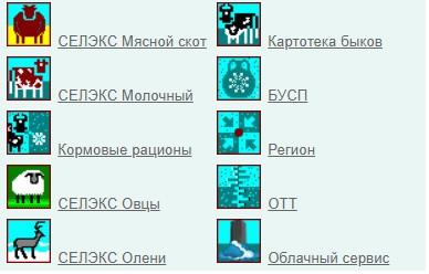 Пошаговые инструкции по ЛК ПЛИНОР Пошаговые инструкции по ЛК ПЛИНОР
