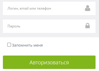 Пошаговые инструкции по ЛК сайта saferegion.net