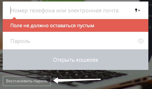 Пошаговые инструкции по ЛК сайта Единый кошелек