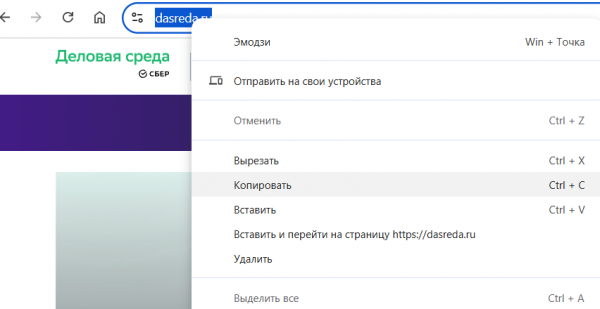 Как войти в личный кабинет сервиса Дасреда (Деловая среда) &ndash; пошаговая инструкция